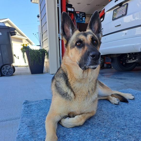 Hello - Picture 1 of 1